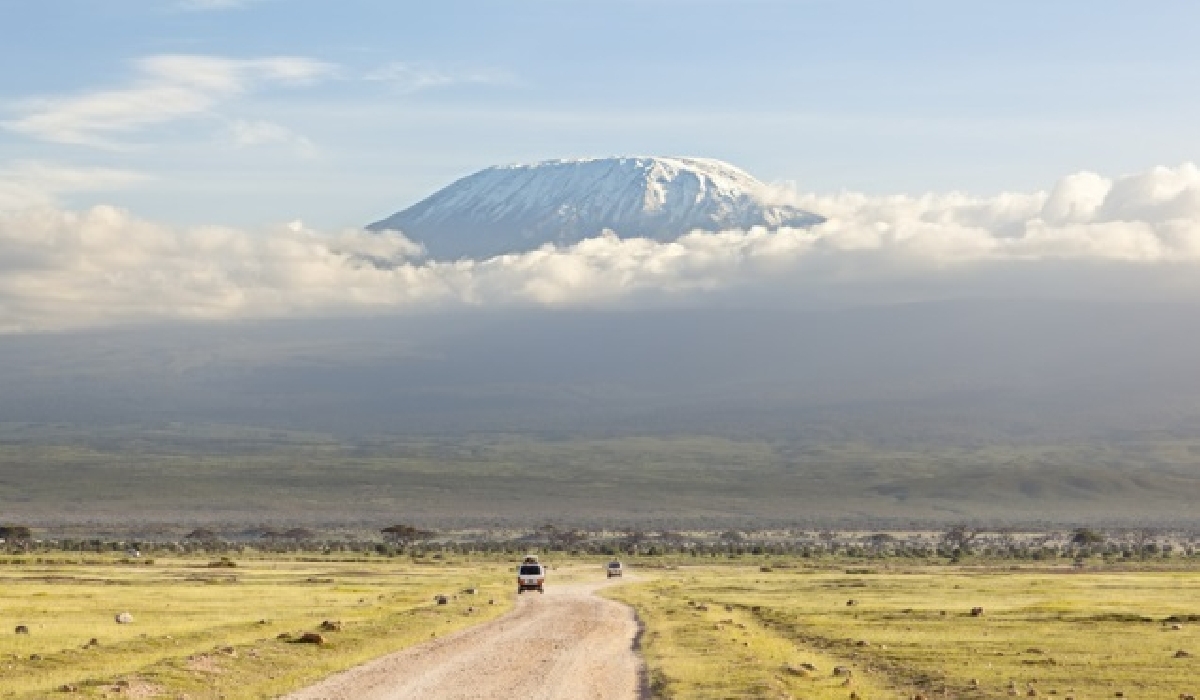 Par temps clair, les neiges éternelles du mont Kilimandjaro dominent la région