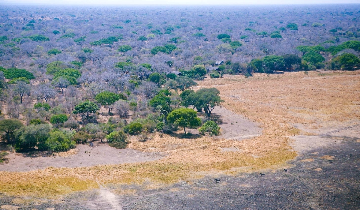 Vue du ciel du Katavi Wildlife Camp
