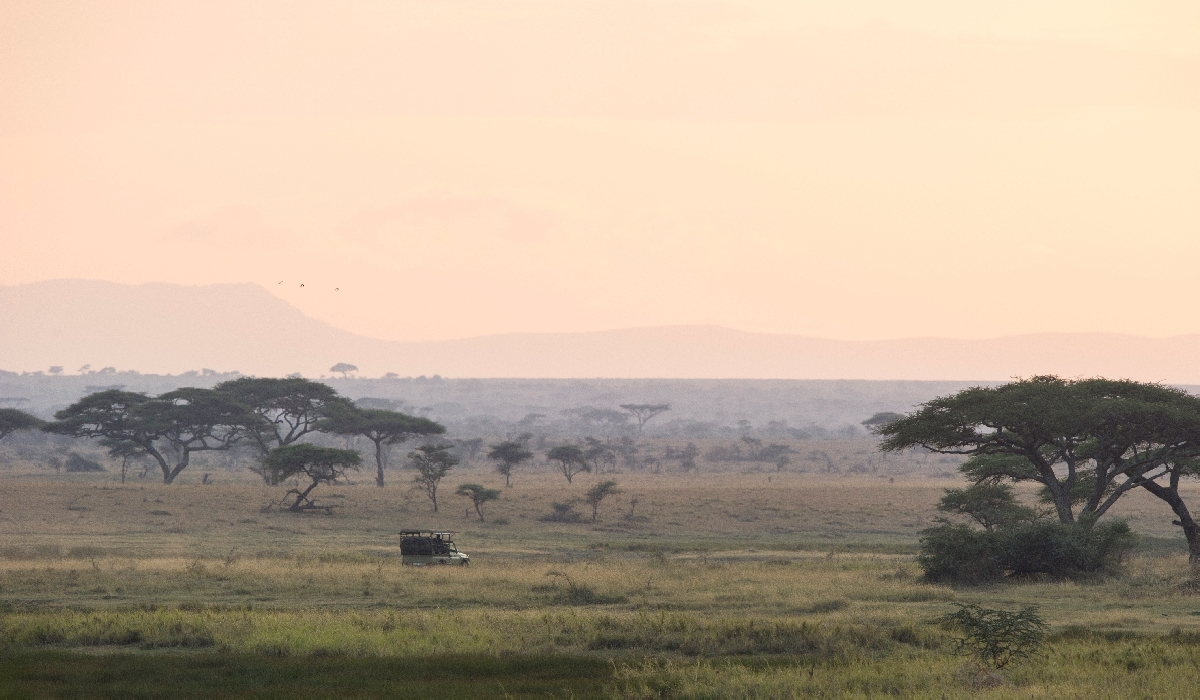 Safari en 4x4 dans le Serengeti