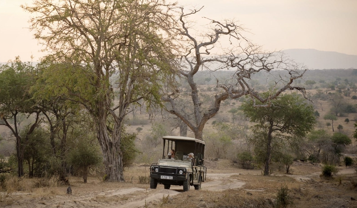 Safari en 4x4 dans le Selous avec le Sand Rivers