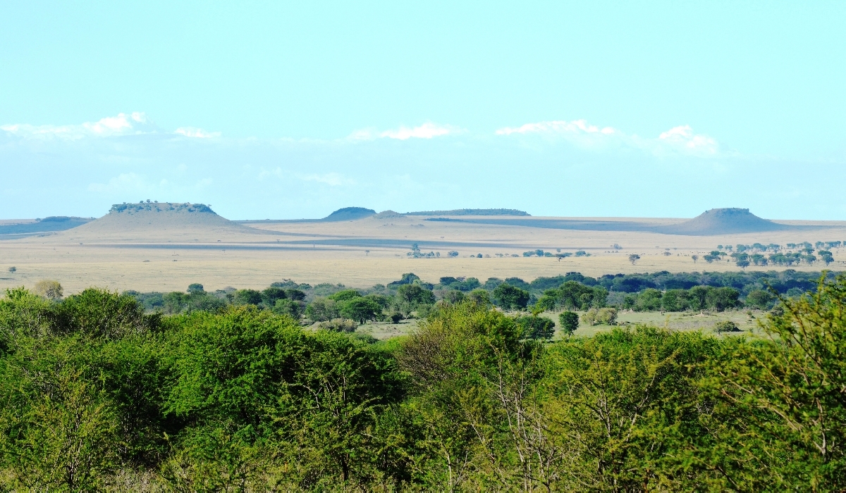 Les confins du nord du Serengeti