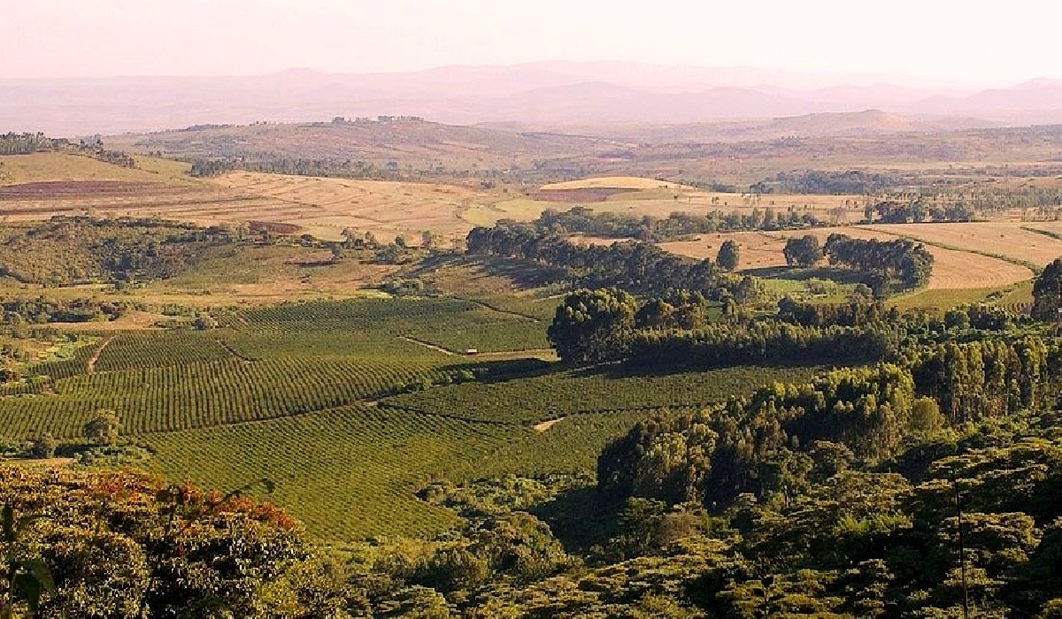 Terres fertiles des plateaux du Rift