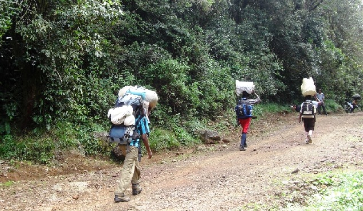 Début de l'ascension du Kilimandjaro avec l'équipe de porteurs