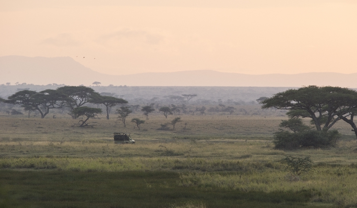Paysages du nord-est du Serengeti