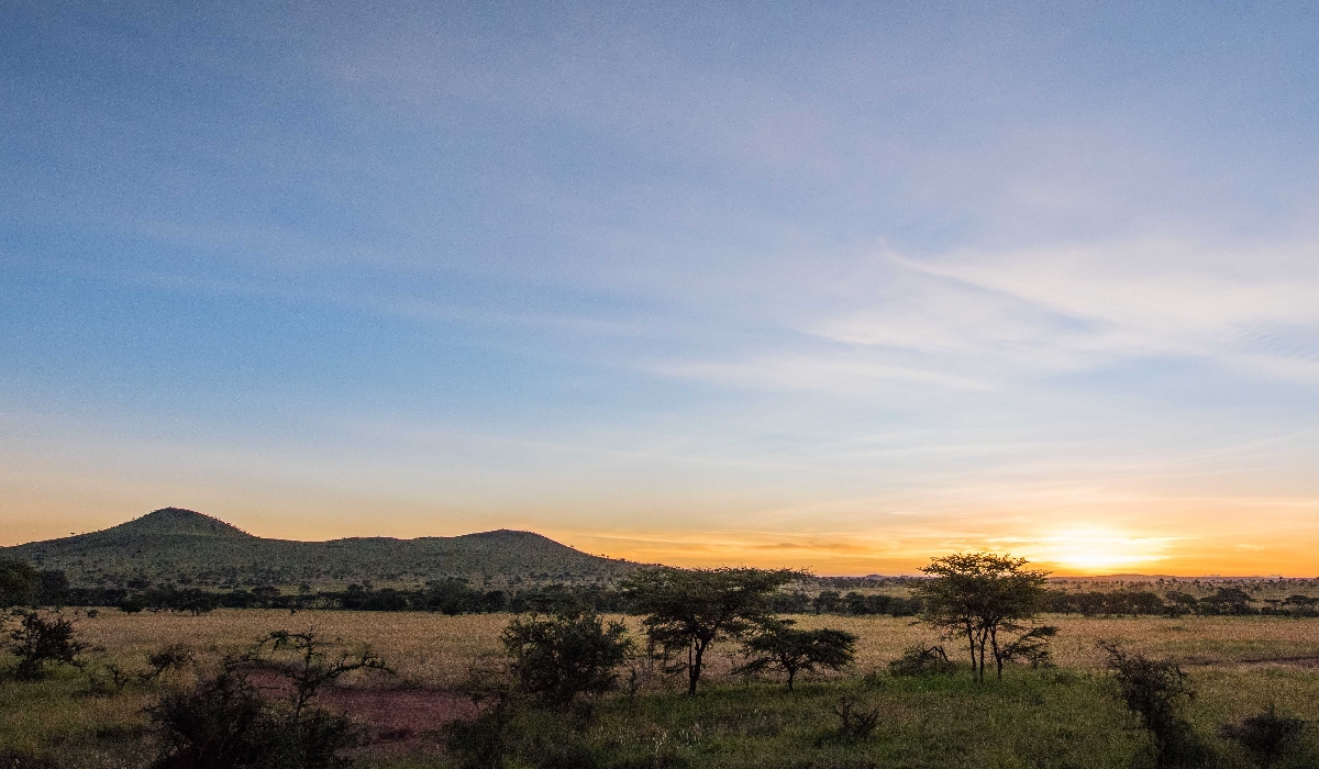 Collines de Banagi dans le centre du Serengeti