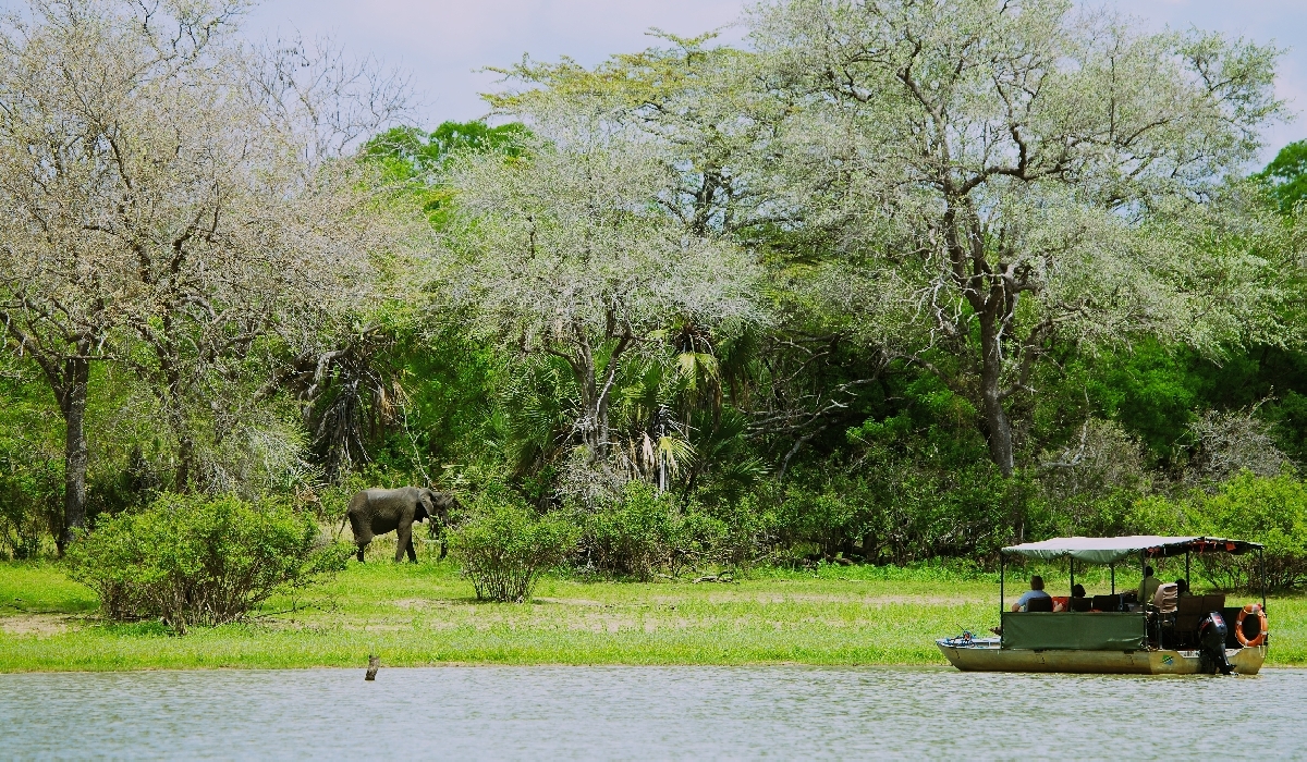 Safari en bateau sur le lac Manze dans le Selous