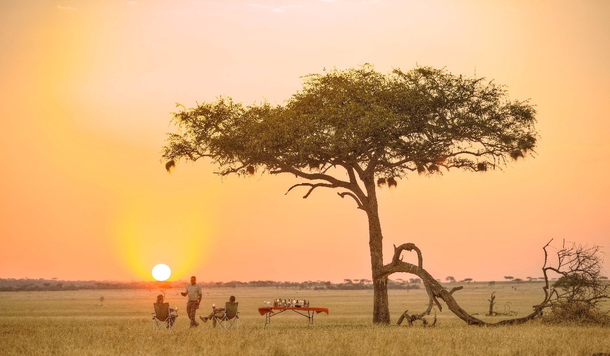 Sundowner dans le Serengeti