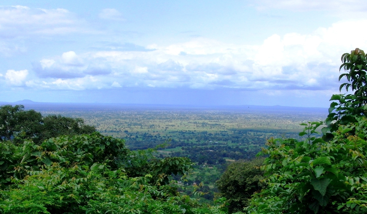 Panorama depuis les hauteurs du parc national des montagnes d'Udzungwa