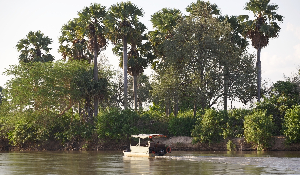 Safari en bateau sur la rivière Rufiji avec l'équipe du Rufiji River Camp