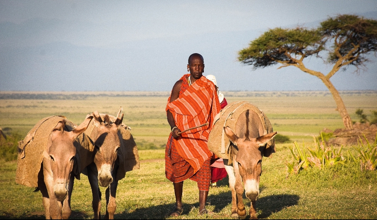Masaïs avec leurs ânes dans la région d'Olduvai