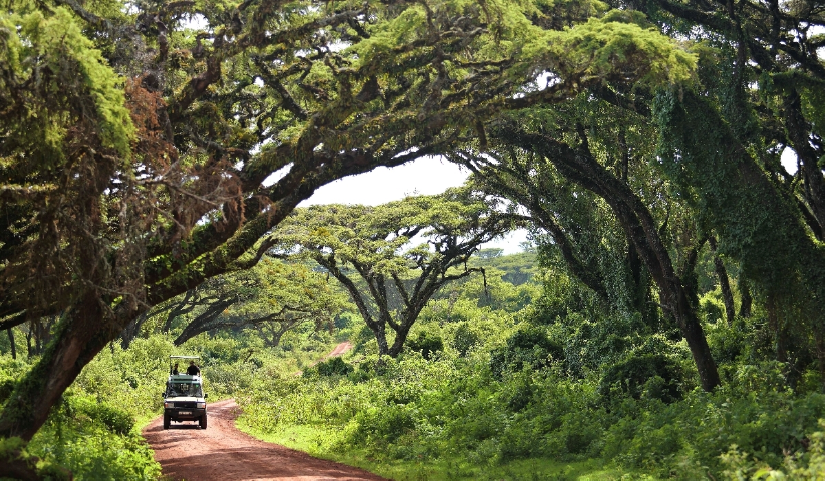 Safari en 4x4 sur une des pistes du Ngorongoro